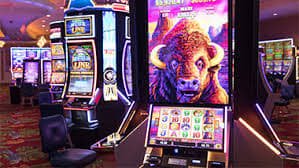 lotto prizes platform overview page on desktop showing full feature set